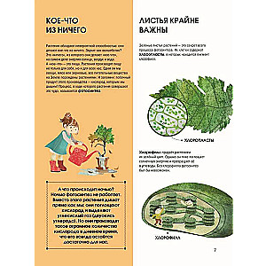 The Language of Plants. Understanding How Plants Communicate