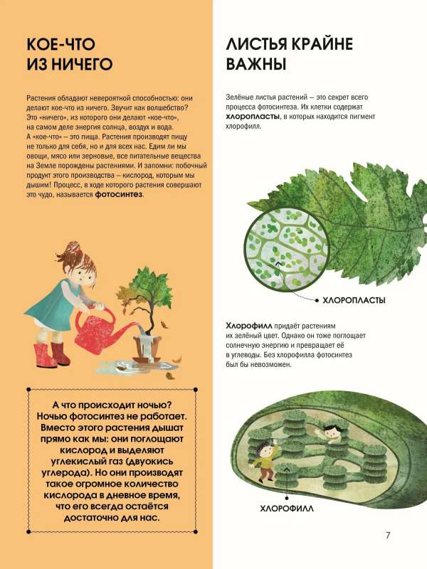 The Language of Plants. Understanding How Plants Communicate