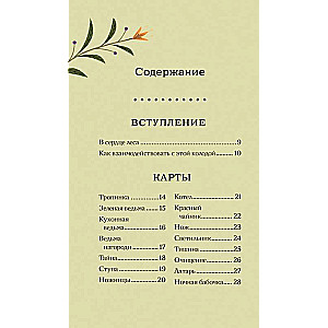 Der geheime Orakel der Grünen Hexe (50 Karten und Anleitung in Geschenkverpackung)