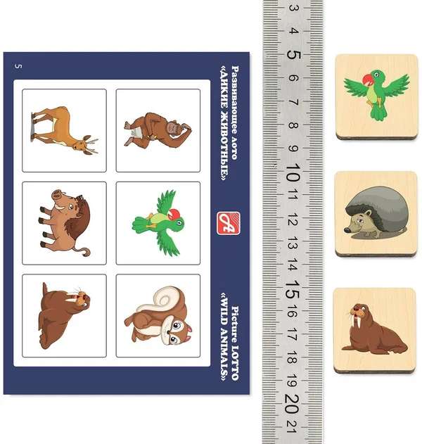 Development Lotto Wild Animals