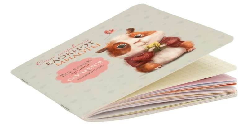 Notebook of cuteness. Pure charm (hamster)