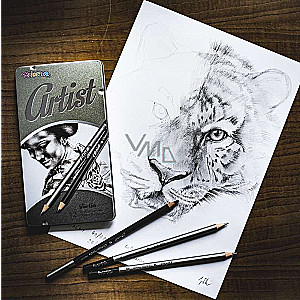 Zestaw ołówków grafitowych Colorino Artist, 12 szt.