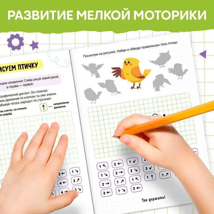 Book "Neurographs. Development of Fine Motor Skills"
