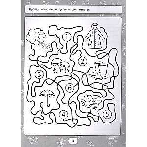 IQ Puzzles and Maze Solutions: 5+