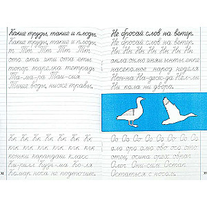 Cursive Writing. 1st Grade. Practice Workbook. Post-Alphabet Period