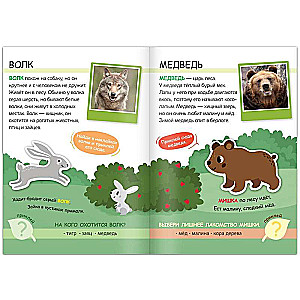 Sticker Book. Forest Dwellers. Read, Play, Learn