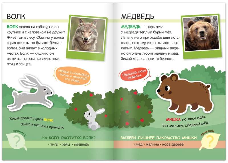 Sticker Book. Forest Dwellers. Read, Play, Learn