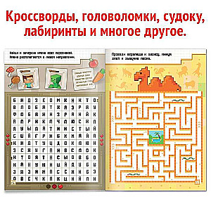 The book "IQ Puzzles"