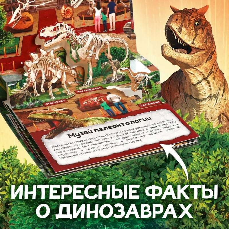 3D Pop-up Book Dinosaurs