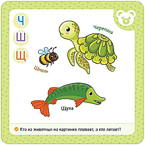 Reusable Water Coloring Cards. Alphabet
