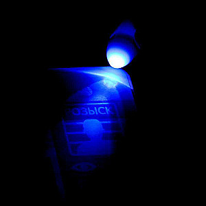 Book with a flashlight "What is Hidden Where?"
