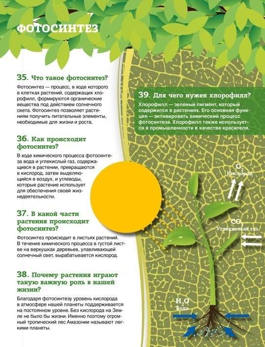 Achievements of Science and Technology. 200 Questions and Answers