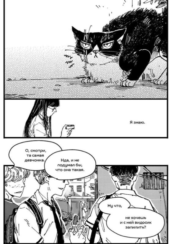 The Girl Who Fed the Cat