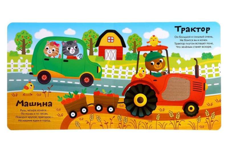 Tactile Book: What Types of Cars Are There