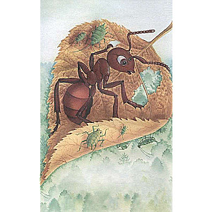 The Fox and the Mouse. Tales