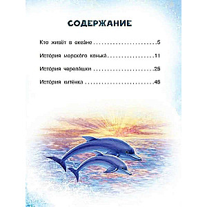 Sea Tales for the Why-Askers