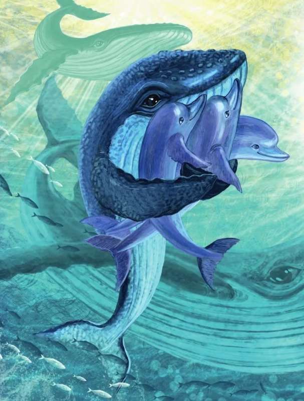 Sea Tales for the Why-Askers