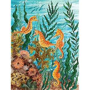 Sea Tales for the Why-Askers