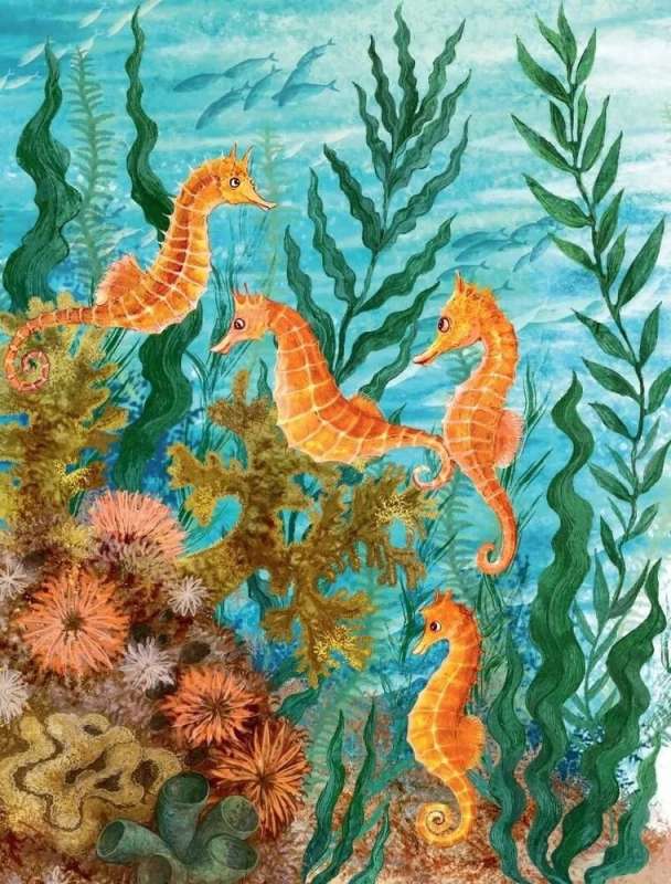Sea Tales for the Why-Askers