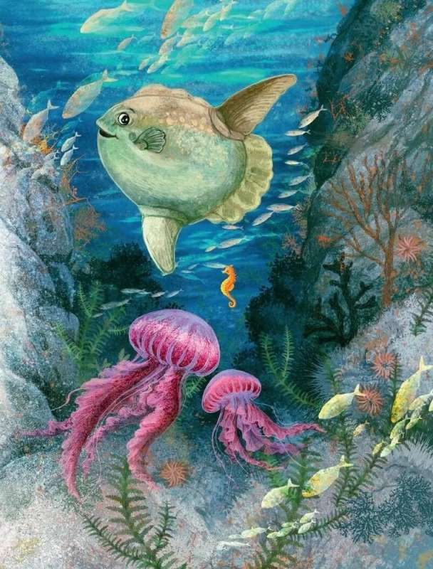 Sea Tales for the Why-Askers