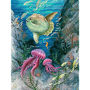 Sea Tales for the Why-Askers