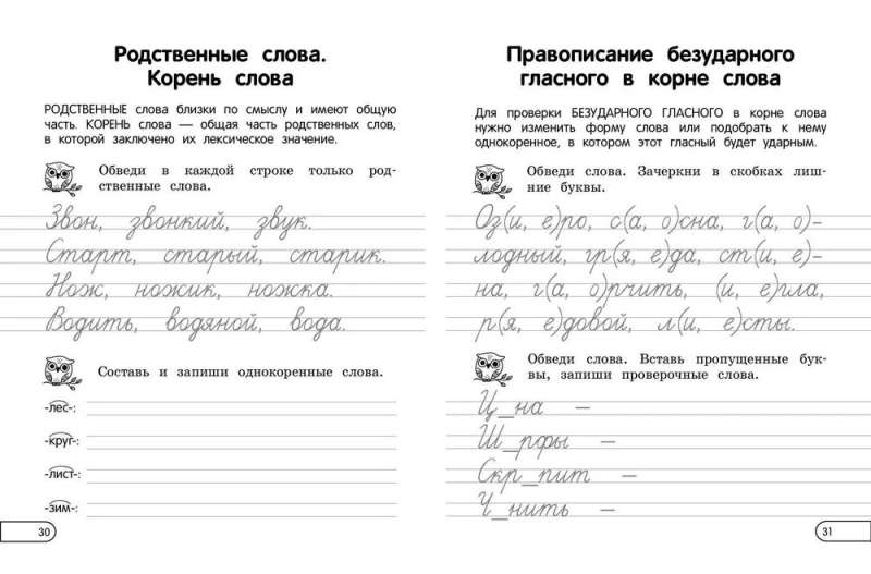 Rules of the Russian Language: For Elementary School. Grades 1 - 4