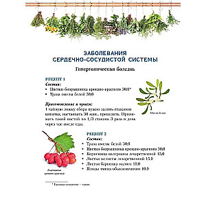 Plants for All Diseases. Illustrated Atlas