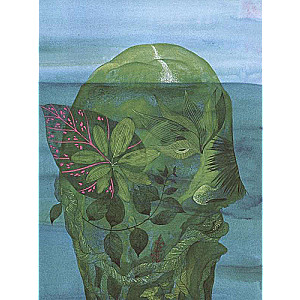 Island of Dreams. The Secret of the Guardians of the Forest