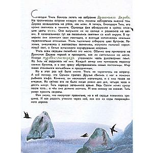 Island of Dreams. The Secret of the Guardians of the Forest