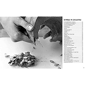 World Cuisine. 500 Dishes from Around the World, 3000 Unique Photographs