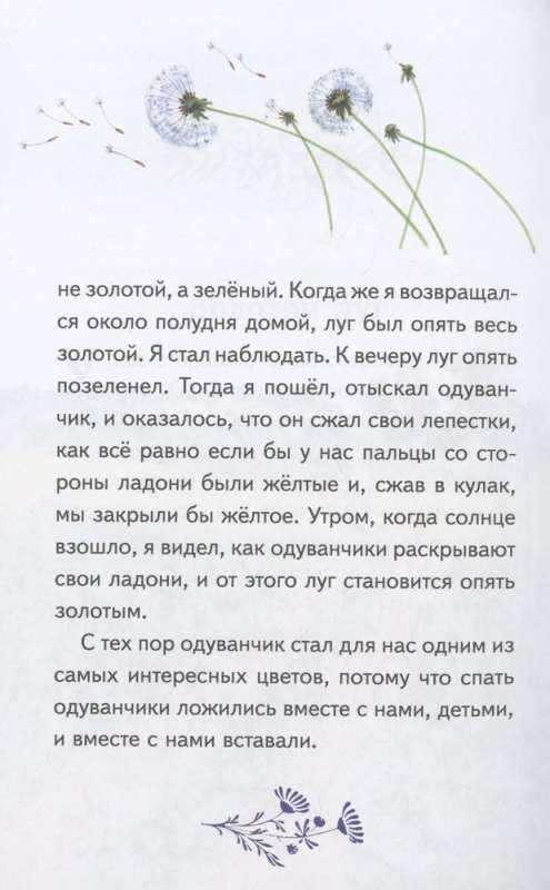 My Homeland. Stories