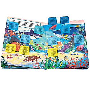 These funny animals. A book with windows
