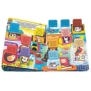 These funny animals. A book with windows