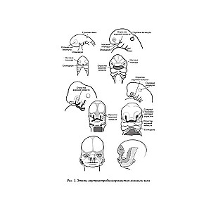 The Snotty Child and His Calm Mom. First Aid for Little Noses, Throats, and Ears