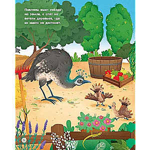 Animals on the Farm