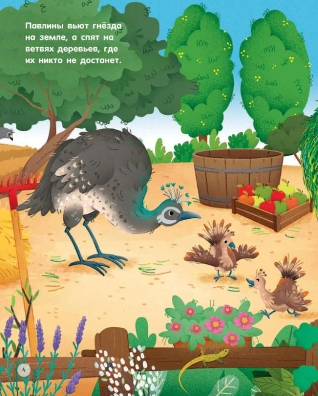 Animals on the Farm