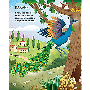 Animals on the Farm