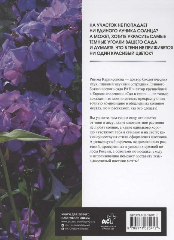 Flowerbed in the Shade. Unpretentious Plants for Your Garden