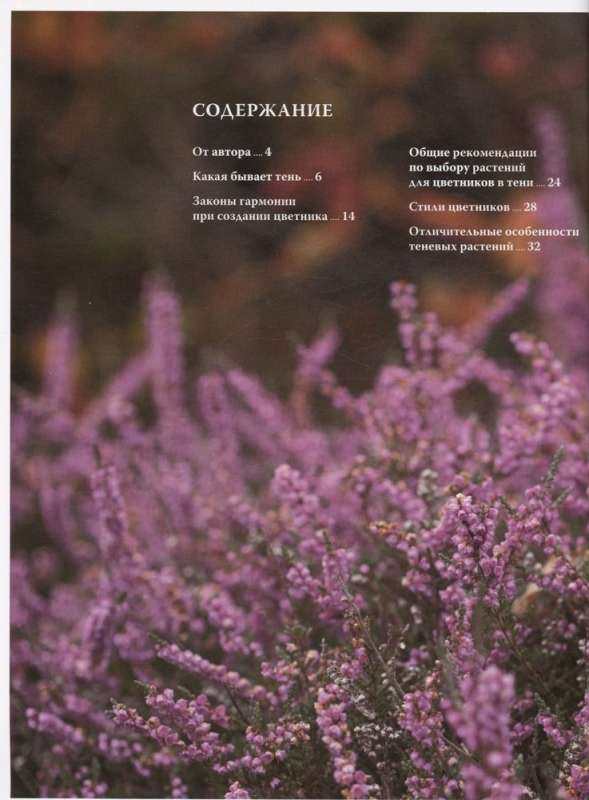 Flowerbed in the Shade. Unpretentious Plants for Your Garden