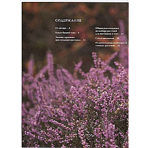 Flowerbed in the Shade. Unpretentious Plants for Your Garden