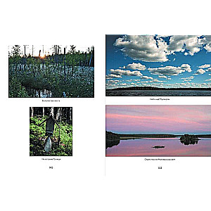 The Vanishing North. True Stories from the Life of the Russian Hinterland