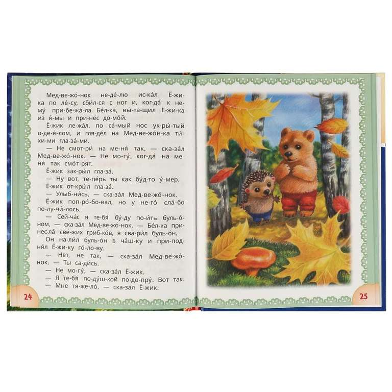 Hedgehog and Bear Cub