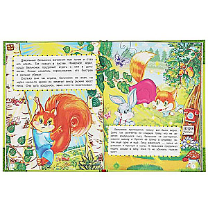 Adventures in the Forest