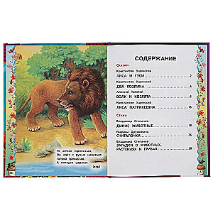 50 ulubionych bajek