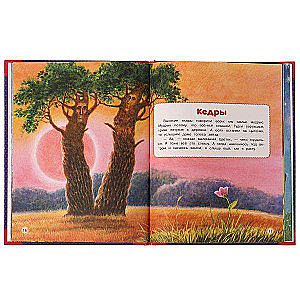 Favorite Books. Fairy Tales for Little Ones