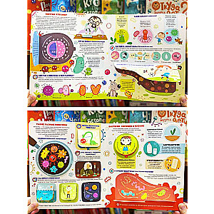 Viruses and Microbes. A Book with Windows
