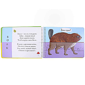 Transformers. Forest Animals. Pictures - Halves