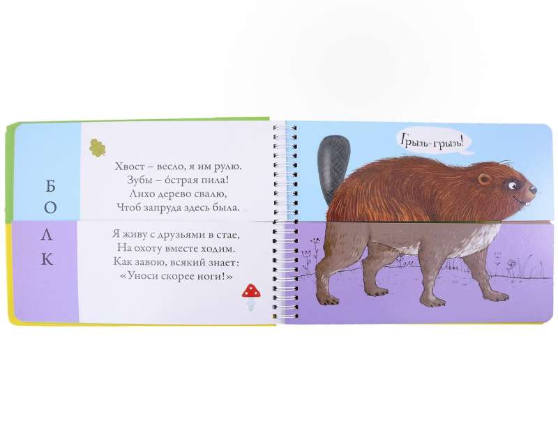 Transformers. Forest Animals. Pictures - Halves