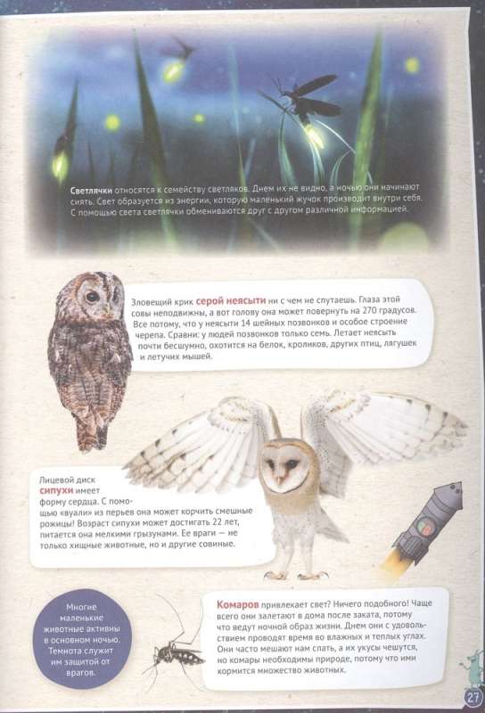 Petson and Findus Study Animals
