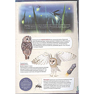 Petson and Findus Study Animals